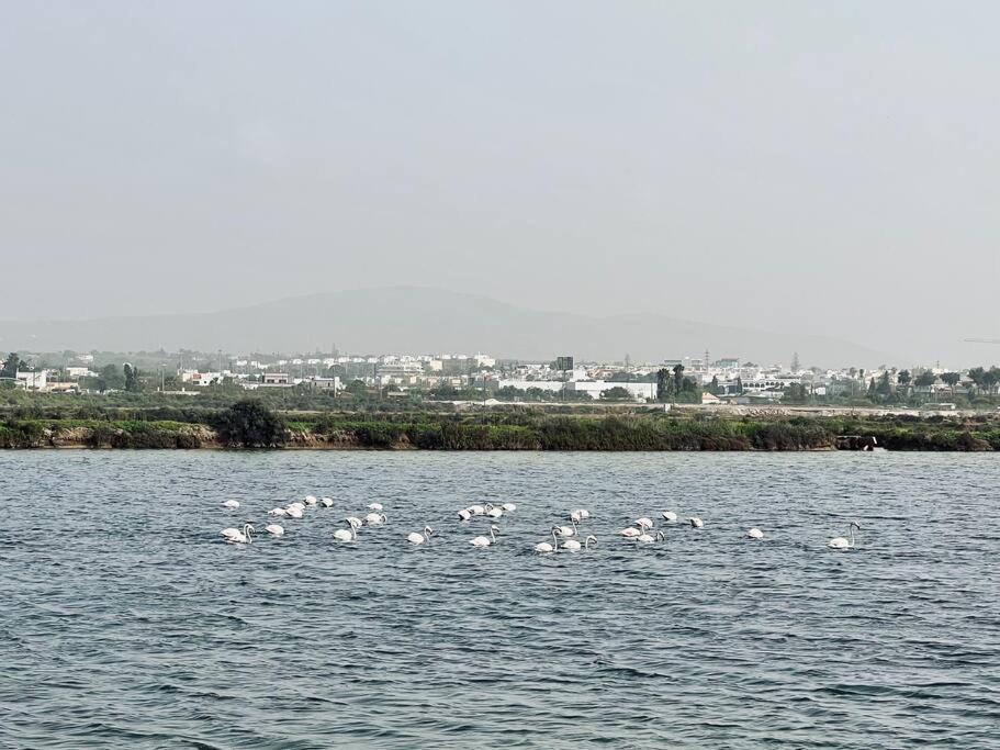 Olhao 3 Bedroom With Rooftop Pool, Marina Village Εξωτερικό φωτογραφία